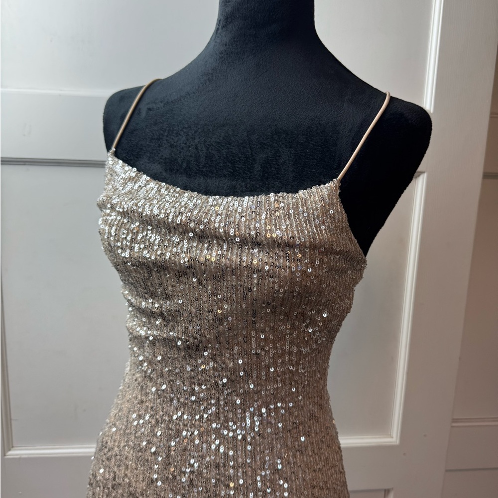 Taupe Sequin Dress NWT - Picture 4 of 5